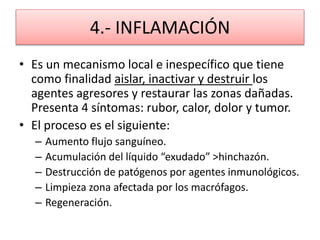 4.- INFLAMACIÓN 
• Es un mecanismo local e inespecífico que tiene 
como finalidad aislar, inactivar y destruir los 
agentes agresores y restaurar las zonas dañadas. 
Presenta 4 síntomas: rubor, calor, dolor y tumor. 
• El proceso es el siguiente: 
– Aumento flujo sanguíneo. 
– Acumulación del líquido “exudado” >hinchazón. 
– Destrucción de patógenos por agentes inmunológicos. 
– Limpieza zona afectada por los macrófagos. 
– Regeneración. 
 