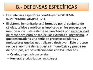 B.- DEFENSAS ESPECÍFICAS 
• Las defensas específicas constituyen el SISTEMA 
INMUNITARIO ADAPTATIVO. 
• El sistema inmunitario está formado por el conjunto de 
células, tejidos y moléculas implicado en los procesos de 
inmunización. Este sistema se caracteriza por su capacidad 
de reconocimiento de moléculas extrañas al organismo, lo 
que desencadena una serie de procesos celulares y 
moleculares que las neutralizan o destruyen. Este proceso 
recibe el nombre de respuesta inmunológica y puede ser 
de dos tipos, ambos relacionados con los linfocitos: 
– Celular, propiciada por células. 
– Humoral, producidas por anticuerpos. 
 