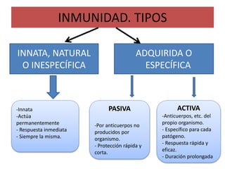 INMUNIDAD. TIPOS 
INNATA, NATURAL 
O INESPECÍFICA 
ADQUIRIDA O 
ESPECÍFICA 
-Innata 
-Actúa 
permanentemente 
- Respuesta inmediata 
- Siempre la misma. 
PASIVA 
-Por anticuerpos no 
producidos por 
organismo. 
- Protección rápida y 
corta. 
ACTIVA 
-Anticuerpos, etc. del 
propio organismo. 
- Específico para cada 
patógeno. 
- Respuesta rápida y 
eficaz. 
- Duración prolongada 
 