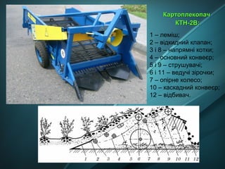 1 – леміш;
2 – відкидний клапан;
3 і 8 – напрямні котки;
4 – основний конвеєр;
5 і 9 – струшувачі;
6 і 11 – ведучі зірочки;
7 – опірне колесо;
10 – каскадний конвеєр;
12 – відбивач.
КартоплекопачКартоплекопач
КТН-2В:КТН-2В:
 