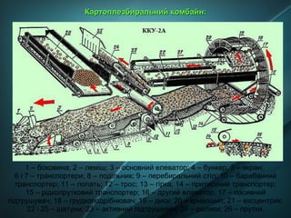 1 – боковина; 2 – леміш; 3 – основний елеватор; 4 – бункер; 5 – екран;
6 і 7 – транспортери; 8 – подільник; 9 – перебиральний стіл; 10 – барабанний
транспортер; 11 – лопать; 12 – трос; 13 – гірка; 14 – притискний транспортер;
15 – рідкопрутковий транспортер; 16 – другий елеватор; 17 – пасивний
підтрушувач; 18 – грудкоподрібнювач; 19 – диск; 20 – кривошип; 21 – ексцентрик;
22 і 25 – шатуни; 23 – активний підтрушувач; 24 – ролики; 26 – прутки.
Картоплезбиральний комбайн:Картоплезбиральний комбайн:
 