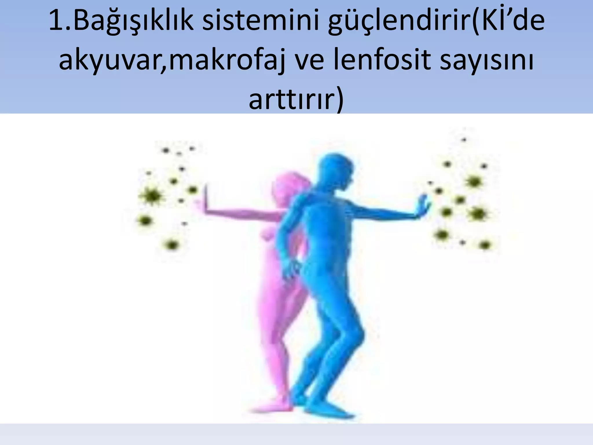 1.Bağışıklık sistemini güçlendirir(Kİ’de
akyuvar,makrofaj ve lenfosit sayısını
arttırır)
 