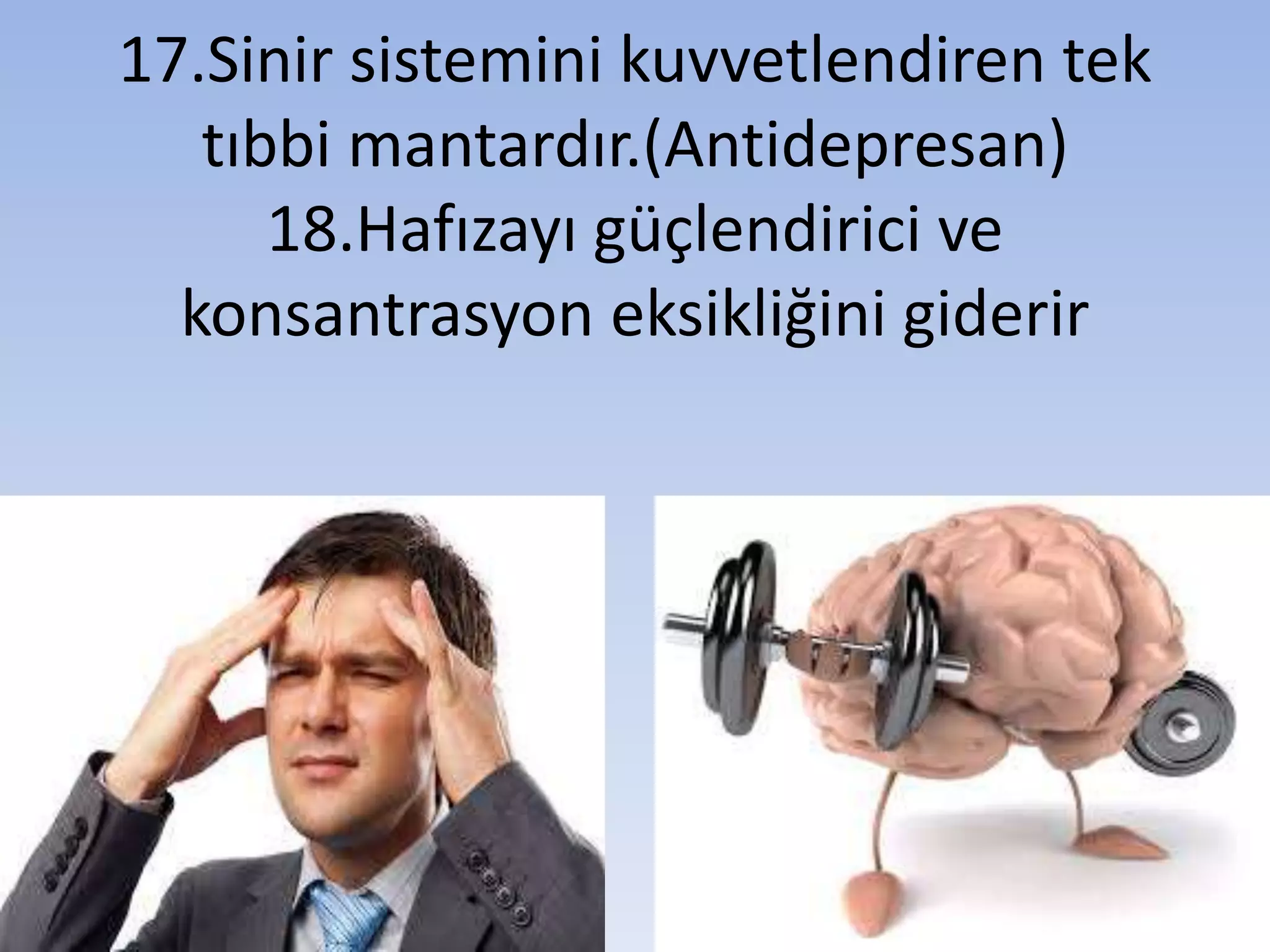 17.Sinir sistemini kuvvetlendiren tek
tıbbi mantardır.(Antidepresan)
18.Hafızayı güçlendirici ve
konsantrasyon eksikliğini giderir
 