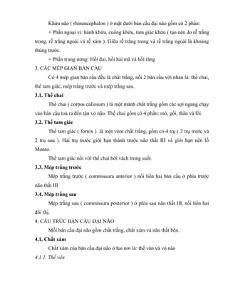 Khứu não ( rhinencephalon ) ở mặt dưới bán cầu đại não gồm có 2 phần:
+ Phần ngoại vi: hành khứu, cuống khứu, tam giác khứu ( tạo nên do rễ trắng
trong, rễ trắng ngoài và rễ xám ). Giữa rễ trắng trong và rễ trắng ngoài là khoảng
thủng trước.
+ Phần trung ương: Hồi đai, hồi hải mã và hồi răng
3. CÁC MÉP GIAN BÁN CẦU
Có 4 mép gian bán cầu đều là chất trắng, nối 2 bán cầu với nhau là: thể chai,
thể tam giác, mép trắng trước và mép trắng sau.
3.1. Thể chai
Thể chai ( corpus callosum ) là một mảnh chất trắng gồm các sợi ngang chạy
vào bán cầu toả ra đến tận vỏ não. Thể chai gồm có 4 phần: mỏ, gối, thân và lồi.
3.2. Thể tam giác
Thể tam giác ( fornix ) là một vòm chất trắng, gồm có 4 trụ ( 2 trụ trước và
2 trụ sau ). Hai trụ trước giới hạn thành trước não thất III và giới hạn nên lỗ
Monro.
Thể tam giác nối với thể chai bởi vách trong suốt.
3.3. Mép trắng trước
Mép trắng trước ( commissura anterior ) nối liền hai bán cầu ở phía trước
não thất III
3.4. Mép trắng sau
Mép trắng sau ( commissura posterior ) ở phía sau não thất III, nối liền hai
đồi thị.
4. CẤU TRÚC BÁN CẦU ĐẠI NÃO
Mỗi bán cầu đại não gồm chất trắng, chất xám và não thất bên.
4.1. Chất xám
Chất xám của bán cầu đại não ở hai nơi là: thể vân và vỏ não
4.1.1. Thể vân
 