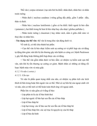 Thể vân ( corpus striatum ) tạo nên bởi ba khối: nhân đuôi, nhân bèo và nhân
trước tường
- Nhân đuôi ( nucleus caudatus ) trông giống dấy phẩy, gồm 3 phần : đầu,
thân và đuôi.
- Nhân bèo ( nucleus lentiformis ) gồm có ba khối: khối ngoài là bèo sẫm
( putamen ), hai khối trong bé hơn là bèo nhạt hay cầu nhạt ( globus pallidus ).
- Nhân trước tường ( claustrum ) hay nhân vách, nằm ở giữa chất xám vỏ
thuỳ đảo và nhân bèo.
- Tác dụng của thể vân: thể vân là trung khu vận động dưới vỏ.
Về sinh lý, có thể chia thành hai phần:
+ Cựu thể vân là bèo nhạt: kiểm soát sự cường cơ và phối hợp các cử động
tự động đơn giản: nên khi bị tổn thương gây nên bệnh co cứng cơ ( bệnh Packinson
), gây bất động hoặc không phối hợp được các cử động.
+ Tân thể vân gồm nhân đuôi và bèo sẫm: có nhiệm vụ kiểm soát cựu thể
vân, nên khi bị tổn thương sự cường cơ giảm. Bệnh nhân có những cử động rối
loạn: bệnh múa vờn và múa giật.
4.1.2. Vỏ não ( cortex )
4.1.2.1. Cấu tạo
Vỏ não là phần quan trọng nhất của não, có nhiệm vụ phân tích các kích
thích từ bên trong hoặc bên ngoài vào cơ thể. Nhờ có sự liên hệ của ngoại cảnh với
vỏ não, nên cơ thể mới có thể hoàn toàn thích ứng với ngoại cảnh.
Phần lớn vỏ não gồm có 6 tầng tế bào:
- Lớp phân tử là các tế bào hình thoi
- Lớp hạt ngoài: tế bào hạt xen lẫn các tế bào tháp
- Lớp tế bào tháp bé
- Lớp hạt trong: các tế bào sao bé xen lẫn các tế bào tháp bé
- Lớp tế bào tháp lớn: các sợi trục là nguyên ủy của bó tháp
- Lớp tế bào đa hình
 