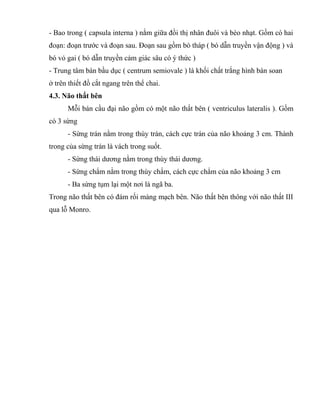 - Bao trong ( capsula interna ) nằm giữa đồi thị nhân đuôi và bèo nhạt. Gồm có hai
đoạn: đoạn trước và đoạn sau. Đoạn sau gồm bó tháp ( bó dẫn truyền vận động ) và
bó vỏ gai ( bó dẫn truyền cảm giác sâu có ý thức )
- Trung tâm bán bầu dục ( centrum semiovale ) là khối chất trắng hình bán soan
ở trên thiết đồ cắt ngang trên thể chai.
4.3. Não thất bên
Mỗi bán cầu đại não gồm có một não thất bên ( ventriculus lateralis ). Gồm
có 3 sừng
- Sừng trán nằm trong thùy trán, cách cực trán của não khoảng 3 cm. Thành
trong của sừng trán là vách trong suốt.
- Sừng thái dương nằm trong thùy thái dương.
- Sừng chẩm nằm trong thùy chẩm, cách cực chẩm của não khoảng 3 cm
- Ba sừng tụm lại một nơi là ngã ba.
Trong não thất bên có đám rối màng mạch bên. Não thất bên thông với não thất III
qua lỗ Monro.
 