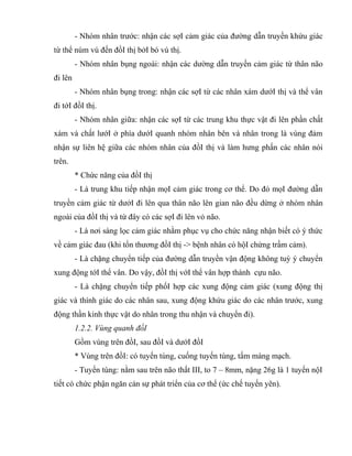 - Nhóm nhân trước: nhận các sợI cảm giác của đường dẫn truyền khứu giác
từ thể núm vú đến đồI thị bởI bó vú thị.
- Nhóm nhân bụng ngoài: nhận các dường dẫn truyền cảm giác từ thân não
đi lên
- Nhóm nhân bụng trong: nhận các sợI từ các nhân xám dướI thị và thể vân
đi tớI đồI thị.
- Nhóm nhân giữa: nhận các sợI từ các trung khu thực vật đi lên phần chất
xám và chất lướI ở phía dướI quanh nhóm nhân bên và nhân trong là vùng đảm
nhận sự liên hệ giữa các nhóm nhân của đồI thị và làm hưng phấn các nhân nói
trên.
* Chức năng của đồI thị
- Là trung khu tiếp nhận mọI cảm giác trong cơ thể. Do đó mọI đường dẫn
truyền cảm giác từ dướI đi lên qua thân não lên gian não đều dừng ở nhóm nhân
ngoài của đồI thị và từ đây có các sợI đi lên vỏ não.
- Là nơi sàng lọc cảm giác nhằm phục vụ cho chức năng nhận biết có ý thức
về cảm giác đau (khi tổn thương đồI thị -> bệnh nhân có hộI chứng trầm cảm).
- Là chặng chuyển tiếp của đường dẫn truyền vận động không tuỳ ý chuyển
xung động tớI thể vân. Do vậy, đồI thị vớI thể vân hợp thành cựu não.
- Là chặng chuyển tiếp phốI hợp các xung động cảm giác (xung động thị
giác và thính giác do các nhân sau, xung động khứu giác do các nhân trước, xung
động thần kinh thực vật do nhân trong thu nhận và chuyển đi).
1.2.2. Vùng quanh đồI
Gồm vùng trên đồI, sau đồI và dướI đồI
* Vùng trên đồI: có tuyến tùng, cuống tuyến tùng, tấm màng mạch.
- Tuyến tùng: nằm sau trên não thất III, to 7 – 8mm, nặng 26g là 1 tuyến nộI
tiết có chức phận ngăn cản sự phát triển của cơ thể (ức chế tuyến yên).
 