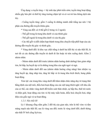 Ứng dụng: u tuyến tùng -> hệ sinh dục phát triển sớm; tuyến tùng hoạt động
nhiều gây béo phì và thờI kỳ tăng trưởng chậm lạI và có vai trò lưu thông dịch não
tủy.
- Cuống tuyến tùng: gồm 3 cuống là những mảnh chất trắng tạo nên 1 bộ
phận của đường dẫn truyền khứu giác.
* Vùng sau đồI: có 4 thể gốI (2 trong và 2 ngoài).
- Thể gốI trong là trung khu dướI vỏ của thính giác
- Thể gốI ngoài là trung khu dướI vỏ của thị giác
- Các thể gốI và đồI chẩm hợp thành trung khu chuyển tiếp phốI hợp của các
đường dẫn truyền thị giác và thính giác.
* Vùng dướI đồI: là khu vực chất trắng ở dướI hai đồI thị và não thất III, là
nơi tất cả các đường dẫn truyền từ dướI đi lên hoặc từ trên xuống dưới. Gồm 2
nhóm nhân:
- Nhóm nhân dướI đồI trước (nhóm nhân hướng dinh dưỡng) làm giảm nhịp
tim, hô hấp, hạ huyết áp và là những trung khu của nghỉ ngơi và ngủ.
- Nhóm nhân dướI đồI sau (nhóm nhân hướng công năng) làm nhiệm vụ
tăng huyết áp, tăng nhịp tim, tăng hô hấp và là trung khu kích thích, hưng phấn
hoạt động.
Tóm lạI: các trung khu vùng dướI đồI đảm nhận chức năng duy trì trạng thái
hằng định của nộI môi, điều hoà hoạt động của các nộI tạng thích nghi vớI nhu cầu
của cơ thể, các nhân vùng dướI đồI kiểm soát thân nhiệt, sự hấp thu, thảI trừ nước
và điện giảI, hoạt động của tim và bộ máy tuần hoàn, điều hoà chuyển hoá, nhịp
điệu của giấc ngủ và sự hoạt động.
1.2.3. Não thất III
Là 1 khoang rỗng nằm giữa 2 đồI thị của gian não, trên là thể vòm và tấm
màng mạch não thất III; sau là vùng sau đồI; trước là vùng dướI đồI; dướI thông
não thất IV bởI cống Sylvius.
 