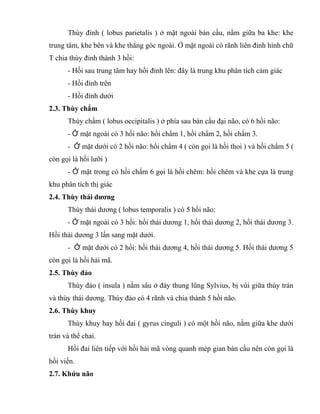 Thùy đỉnh ( lobus parietalis ) ở mặt ngoài bán cầu, nằm giữa ba khe: khe
trung tâm, khe bên và khe thẳng góc ngoài. Ở mặt ngoài có rãnh liên đỉnh hình chữ
T chia thùy đỉnh thành 3 hồi:
- Hồi sau trung tâm hay hồi đỉnh lên: đây là trung khu phân tích cảm giác
- Hồi đỉnh trên
- Hồi đỉnh dưới
2.3. Thùy chẩm
Thùy chẩm ( lobus occipitalis ) ở phía sau bán cầu đại não, có 6 hồi não:
- Ở mặt ngoài có 3 hồi não: hồi chẩm 1, hồi chẩm 2, hồi chẩm 3.
- Ở mặt dưới có 2 hồi não: hồi chẩm 4 ( còn gọi là hồi thoi ) và hồi chẩm 5 (
còn gọi là hồi lưỡi )
- Ở mặt trong có hồi chẩm 6 gọi là hồi chêm: hồi chêm và khe cựa là trung
khu phân tích thị giác
2.4. Thùy thái dương
Thùy thái dương ( lobus temporalis ) có 5 hồi não:
- Ở mặt ngoài có 3 hồi: hồi thái dương 1, hồi thái dương 2, hồi thái dương 3.
Hồi thái dương 3 lấn sang mặt dưới.
- Ở mặt dưới có 2 hồi: hồi thái dương 4, hồi thái dương 5. Hồi thái dương 5
còn gọi là hồi hải mã.
2.5. Thùy đảo
Thùy đảo ( insula ) nằm sâu ở đáy thung lũng Sylvius, bị vùi giữa thùy trán
và thùy thái dương. Thùy đảo có 4 rãnh và chia thành 5 hồi não.
2.6. Thùy khuy
Thùy khuy hay hồi đai ( gyrus cinguli ) có một hồi não, nằm giữa khe dưới
trán và thể chai.
Hồi đai liên tiếp với hồi hải mã vòng quanh mép gian bán cầu nên còn gọi là
hồi viền.
2.7. Khứu não
 