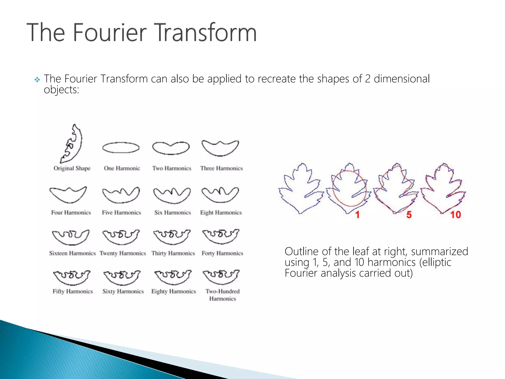  The Fourier Transform can also be applied to recreate the shapes of 2 dimensional
objects:
Outline of the leaf at right, summarized
using 1, 5, and 10 harmonics (elliptic
Fourier analysis carried out)
 