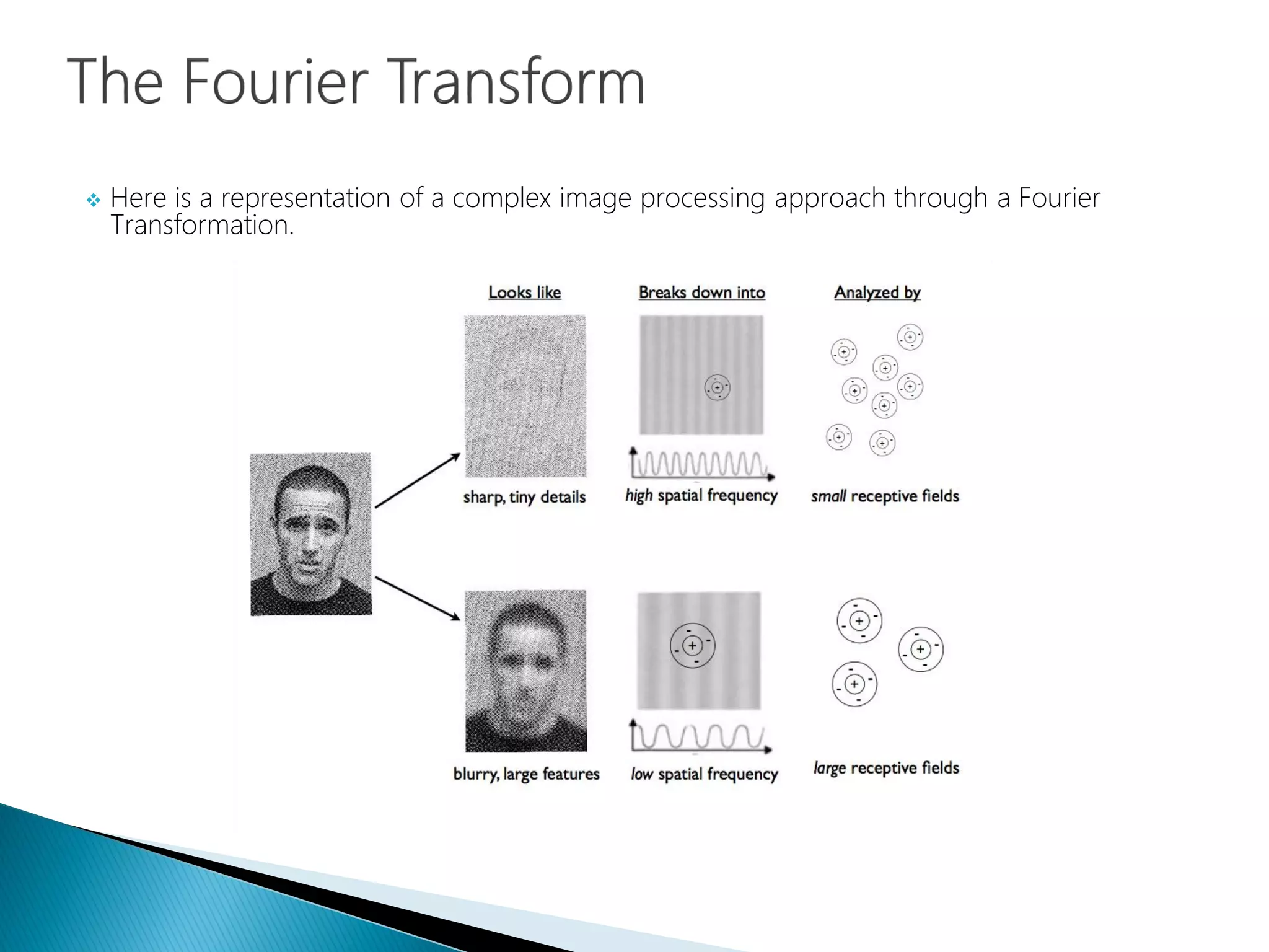  Here is a representation of a complex image processing approach through a Fourier
Transformation.
 