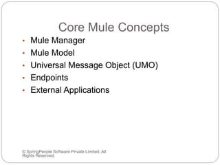 Core Mule Concepts
© SpringPeople Software Private Limited, All
Rights Reserved.
• Mule Manager
• Mule Model
• Universal Message Object (UMO)
• Endpoints
• External Applications
 