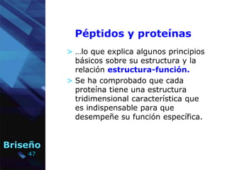 47
Briseño
Péptidos y proteínas
> …lo que explica algunos principios
básicos sobre su estructura y la
relación estructura-...