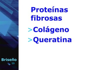 59
Briseño
Proteínas
fibrosas
>Colágeno
>Queratina
 