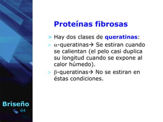 64
Briseño
Proteínas fibrosas
> Hay dos clases de queratinas:
 a-queratinas Se estiran cuando
se calientan (el pelo casi...