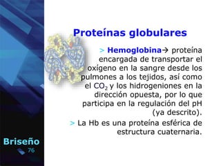 76
Briseño
Proteínas globulares
> Hemoglobina proteína
encargada de transportar el
oxígeno en la sangre desde los
pulmone...