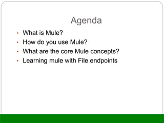 Agenda
• What is Mule?
• How do you use Mule?
• What are the core Mule concepts?
• Learning mule with File endpoints
 