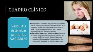 CUADRO CLÍNICO
• Compromiso sólo de la piel, vasculitis cutánea,o
de un solo órgano interno,como en el caso de la
angeiítis aislada del sistema nervioso central
(SNC) o,con más frecuencia,la piel y varios
órganos internos al mismo tiempo.
• SÍNTOMAS CONSTITUCIONALES INESPECÍFICOS
• fiebre, fatiga,debilidad,hiporexia,pérdida de
peso y ataque al estado general;al mismo
tiempo o posteriormente, se presentan los
síntomas y signos de los órganos afectados
Vasculitis
sistémicas
primarias
VARIABLES
 