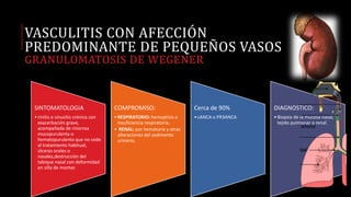 VASCULITIS CON AFECCIÓN
PREDOMINANTE DE PEQUEÑOS VASOS
GRANULOMATOSIS DE WEGENER
SINTOMATOLOGIA
•rinitis o sinusitis crónica con
exacerbación grave,
acompañada de rinorrea
mucopurulenta o
hematopurulenta que no cede
al tratamiento habitual,
úlceras orales o
nasales,destrucción del
tabique nasal con deformidad
en silla de montar.
COMPROMISO:
•RESPIRATORIO: hemoptisis e
insuficiencia respiratoria,
• RENAL: por hematuria y otras
alteraciones del sedimento
urinario,
Cerca de 90%
•cANCA o PR3ANCA
DIAGNOSTICO:
•Biopsia de la mucosa nasal,
tejido pulmonar o renal.
 
