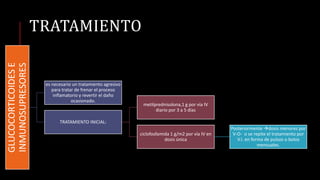 TRATAMIENTO
GLUCOCORTICOIDESE
INMUNOSUPRESORES
es necesario un tratamiento agresivo
para tratar de frenar el proceso
inflamatorio y revertir el daño
ocasionado.
TRATAMIENTO INICIAL:
metilprednisolona,1 g por vía IV
diario por 3 a 5 días
ciclofosfamida 1 g/m2 por vía IV en
dosis única
Posteriormente dosis menores por
V-O- o se repite el tratamiento por
V.I. en forma de pulsos o bolos
mensuales.
 