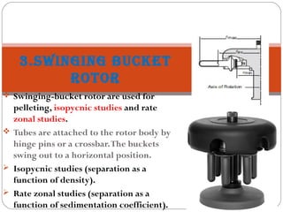 3.SWINGING BUCKET
ROTOR
 Swinging-bucket rotor are used for
pelleting, isopycnic studies and rate
zonal studies.
 Tubes are attached to the rotor body by
hinge pins or a crossbar.The buckets
swing out to a horizontal position.
 Isopycnic studies (separation as a
function of density).
 Rate zonal studies (separation as a
function of sedimentation coefficient).
 