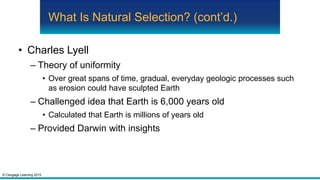 © Cengage Learning 2015
What Is Natural Selection? (cont’d.)
• Charles Lyell
– Theory of uniformity
• Over great spans of time, gradual, everyday geologic processes such
as erosion could have sculpted Earth
– Challenged idea that Earth is 6,000 years old
• Calculated that Earth is millions of years old
– Provided Darwin with insights
 