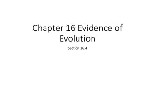 Chapter 16 Evidence of
Evolution
Section 16.4
 