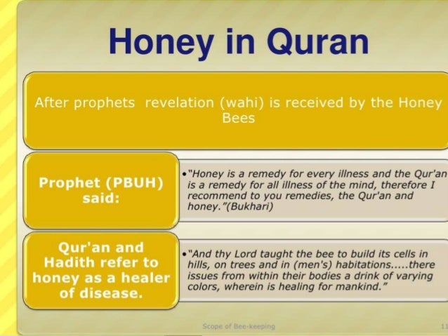 Image result for Honey in quran