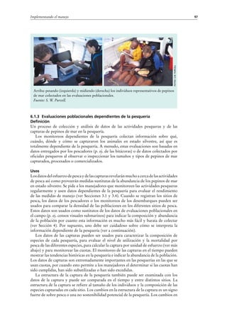 97Implementando el manejo
6.1.3 Evaluaciones poblacionales dependientes de la pesquería
Definición
Un proceso de colección y análisis de datos de las actividades pesqueras y de las
capturas de pepinos de mar en la pesquería.
Los monitoreos dependientes de la pesquería colectan información sobre qué,
cuándo, dónde y cómo se capturaron los animales en estado silvestre, así que es
totalmente dependiente de la pesquería. A menudo, estas evaluaciones son basadas en
datos entregados por los pescadores (p. ej. de las bitácoras) o de datos colectados por
oficiales pesqueros al observar o inspeccionar los tamaños y tipos de pepinos de mar
capturados, procesados o comercializados.
Usos
Losdatosdelesfuerzodepescaydelascapturasrevelaránmuchoacercadelasactividades
de pesca así como proveerán medidas sustitutas de la abundancia de los pepinos de mar
en estado silvestre. Se pide a los manejadores que monitoreen las actividades pesqueras
regularmente y usen datos dependientes de la pesquería para evaluar el rendimiento
de las medidas de manejo (ver Secciones 3.1 y 3.4). Cuando se registran los sitios de
pesca, los datos de los pescadores o los monitoreos de los desembarques pueden ser
usados para comparar la densidad de las poblaciones en los diferentes sitios de pesca.
Estos datos son usados como sustitutos de los datos de evaluaciones poblacionales en
el campo (p. ej. censos visuales submarinos) para indicar la composición y abundancia
de la población por cuanto esta información es mucho más fácil y barata de colectar
(ver Sección 4). Por supuesto, uno debe ser cuidadoso sobre cómo se interpreta la
información dependiente de la pesquería (ver a continuación).
Los datos de las capturas pueden ser usados para caracterizar la composición de
especies de cada pesquería, para evaluar el nivel de utilización y la mortalidad por
pesca de las diferentes especies, para calcular la captura por unidad de esfuerzo (ver más
abajo) y para monitorear las cuotas. El monitoreo de las capturas en el tiempo pueden
mostrar las tendencias históricas en la pesquería e indicar la abundancia de la población.
Los datos de capturas son extremadamente importantes en las pesquerías en las que se
usan cuotas, por cuando esto permite a los manejadores el determinar si las cuotas han
sido cumplidas, han sido subutilizadas o han sido excedidas.
La estructura de la captura de la pesquería también puede ser examinada con los
datos de la captura y puede ser comparada en el tiempo y entre distintos sitios. La
estructura de la captura se refiere al tamaño de los individuos y la composición de las
especies capturadas en cada sitio. Los cambios en la estructura de la captura es un signo
fuerte de sobre pesca o una no sostenibilidad potencial de la pesquería. Los cambios en
Arriba: pesando (izquierda) y midiendo (derecha) los individuos representativos de pepinos
de mar colectados en las evaluaciones poblacionales.
Fuente: S. W. Purcell.
Fotos:S.W.Purcell
 