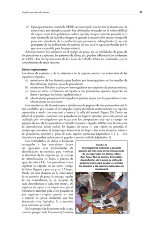 99Implementando el manejo
3)	 hiperagotamiento, cuando la CPUE cae más rápido que declina la abundancia. Se
espera esto, por ejemplo, cuando hay diferencias marcadas en la vulnerabilidad
de las porciones de la población, es decir que hay una porción más pequeña pero
más vulnerable de la población que es agotada y una porción menos vulnerable
pero más abundante de la población que permanece subexplotada (p. ej. una
gran parte de las poblaciones de pepinos de mar está en aguas profundas por lo
que no es accesible para los pescadores).
Adicionalmente, los adelantos en el equipo de pesca, en las habilidades de pesca de
los pescadores y capitanes, los patrones de clima, etc. pueden influenciar las tendencias
de CPUE. Las interpretaciones de los datos de CPUE, deben ser analizados con el
conocimiento de estos factores.
Cómo implementar
Los datos de capturas y de la estructura de la captura pueden ser colectados de las
siguientes maneras:
a)	 monitoreos de los desembarques hechos por investigadores en los muelles de
desembarque, puertos, casas de pescadores;
b)	 monitoreos llevados a cabo por investigadores en estaciones de procesamiento;
c)	 hojas de datos o bitácoras entregadas a los pescadores, quiénes registran los
datos y entregan las hojas regularmente; y
d)	 observadores pesqueros/investigadores quiénes viajan con los pescadores como
observadores en sus botes.
Los monitoreos de desembarque y monitoreos de pepinos de mar procesados será lo
más confiable, por cuanto el investigador podrá identificar correctamente las especies
capturadas y medir con exactitud el peso y la talla del animal (Figura 29). Puede ser
difícil el organizar reuniones con pescadores en lugares remotos pero esto puede ser
facilitado por investigadores que viajan con los compradores que van a recoger los
pepinos de mar de los pescadores (Purcell, Gossuin y Agudo, 2009a). Los formularios
de desembarque deben incluir los lugares de pesca (o una región en general), el
tiempo que pescaron, el tiempo que demoraron en llegar a los sitios de pesca, número
de pescadores, número y peso de cada especie capturada (Apéndices 1 y 2) . Los
formularios pueden incluir precio pagado y precio recibido (Apéndice 1).
Los formularios de datos o bitácoras
entregadas a los pescadores deben
ser apoyados con herramientas de
identificación taxonómica para verificar
la identidad de las especies (p. ej. tarjetas
de identificación en hojas a prueba de
agua, Sección 6.1.1). Los pescadores deben
registrar su captura en un corto tiempo
de haber llegado a puerto, p. ej. 12 horas.
Puede ser una cláusula en la renovación
de su permiso de pesca la entrega regular
de sus formularios, p.  ej. después de
cada desembarque o cada tres meses). Al
registrar su captura, es importante que el
formulario también pida a los pescadores
que registren cualquier pepino de mar
o especie de pesca incidental que fue
descartado (ver Apéndice  3) o retenido
para consumo personal.
En las pesquerías de arrastre o de draga,
como la pesquería de Cucumaria frondosa
Foto:J.P.Kinch
FigurA 29
Investigadores midiendo y pesando
pepinos de mar secos en las instalaciones
de un exportador en Alotau, Milne
Bay, Papua Nueva Guinea. Estos datos
dependientes de la pesca se utilizarán
posteriormente para ayudar a controlar
los tamaños y las especies capturadas en
la pesquería
 
