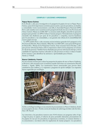 Manejo de las pesquerías de pepino de mar con un enfoque ecosistémico106
Ejemplos y lecciones aprendidas
Papua Nueva Guinea
Se ha llevado a cabo poca investigación en la pesquería de pepino de mar en Papua Nueva
Guinea, a pesar de la importancia económica para la nación y para los pescadores, sus familias
y comunidades. Como reconocimiento a esta falla, la Autoridad Pesquera Nacional (APN)
llevó a cabo estudios socio-económicos de la pesquería de beche-de-mer en las Provincias del
Oeste, Central y Manus en el 2006-2007. La encuesta estaba dirigida a describir la operación
pesquera para permitir a la APN el refinar el manejo pesquero. Particularmente, la pesquería
necesitaba más obediencia por parte de los pescadores y compañías, mayores beneficios
para los pescadores y sus comunidades, y una garantía más robusta de la sostenibilidad del
recurso pepino de mar.
La APN también llevó a cabo encuestas socioeconómicas generales de la pesquería en las
Provincias de Morobe, Nueva Irlanda y Milne Bay en el 2005-2007, como parte del Programa
de Desarrollo y Manejo de las Pesquerías Costeras. Estas encuestas fueron llevadas a cabo
para proveer información básica sobre la importancia relativa de las pesquerías en la forma
de vida de las personas. También fueron diseñadas para proveer información del tipo y de las
cantidades de organismos marinos colectados en cada provincia en miras a evaluar el estado
de los recursos y para identificar las amenazas y oportunidades para el futuro.
Fuente: J. P. Kinch.
Nueva Caledonia, Francia
En una encuesta reciente pare evaluar las pesquerías de pepinos de mar en Nueva Caledonia,
se llevaron a cabo encuestas socio-económicas usando entrevistas con cuestionarios (Purcell,
Gossuin y Agudo, 2009a). Los cuestionarios fueron estructurados para proveer datos
cuantitativos para análisis; p. ej. respuestas a preguntas de opción múltiple. Las respuestas
fueron registradas por sociólogos.
Arriba: un biólogo/sociólogo en una estación de procesamiento en Nueva Caledonia, donde
se secan pepinos de mar y Trochus encima de bandejas de malla luego de haber sido hervidos.
Foto: S.W. Purcell.
Las entrevistas a los pescadores tomaron entre 30-40 minutos con preguntas sobre el tipo
o lugar de pesca, la captura, el esfuerzo de pesca promedio (duración), procesamiento de
los pepinos de mar por los pescadores, la importancia económica, el contexto histórico y
su conocimiento y sus deseos sobre las regulaciones de manejo pesquero. Los pescadores
Foto:S.W.Purcell
 