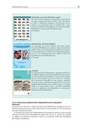 89Implementando el manejo
6.1.2 Evaluaciones poblacionales independientes de la pesquería
Definición
Un proceso de colección y análisis de datos de las poblaciones de pepinos de mar a
través de monitoreos que no están relacionados con los pescadores o los animales que
han sido colectados por ellos.
A menudo, los monitoreos independientes de la pesquería incluyen censos visuales
submarinos (CVS) de las densidades de pepinos de mar (p.  ej. conteos de animales
en réplicas de transectos colocados al azar) y su posterior análisis de abundancia,
diversidad y distribución.
Holotúridos comerciales del Pacífico tropical
Este afiche ilustra 28 especies de holotúridos comerciales de
las aguas tropicales del Océano Pacífico. Para cada especie
se indica su distribución geográfica conocida junto con un
número con características claves de identificación y valor
comercial. El afiche está disponible en: www.spc.int/coastfish/
fishing/posters/images_posters/holothurians.jpg
K. Friedman.
REGIÓN DEL OCÉANO ÍNDICO
La Asociación de Ciencias Marinas del Océano Índico
Occidental (WIOMSA, por sus siglas en inglés) recientemente
publicó un libro sobre las pesquerías, el estado de conocimiento
y las necesidades para el manejo de las pesquerías de pepinos
de mar en los principales países de la región. El libro está
disponible de: secretariat@wiomsa.org
C. Conand.
GLOBAL
La Organización de la Alimentación y Agricultura (FAO, por
sus siglas en inglés) ha recientemente publicado un documento
en el estado poblacional, pesquería y comercio de los pepinos
de mar a nivel mundial a través de la colección y el análisis
de la información disponible de cinco regiones, cubriendo
las áreas de pesca conocidas para pepinos de mar: las áreas
templadas del hemisferio norte; América Latina y el Caribe;
África y el Océano Índico; Asia; y el Pacífico Occidental
Central. La publicación está disponible en: www.fao.org/
docrep/011/i0375e/i0375e00.htm
 