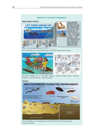 Manejo de las pesquerías de pepino de mar con un enfoque ecosistémico130
Ejemplos y lecciones aprendidas
Papua Nueva Guinea
Poster diseñado por la Autoridad Pesquera Nacional, Papua Nueva Guinea.
Historieta diseñada por la Autoridad Pesquera Nacional (Papua Nueva Guinea):
izquierda – portada; derecha – hoja de ejemplo.
Pacifico
Poster diseñado por la Fundación de la Gente del Pacífico Sur-Internacional.
Fuente: J.P. Kinch.
 