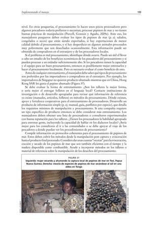 133Implementando el manejo
nivel. En otras pesquerías, el procesamiento lo hacen unos pocos procesadores pero
algunos pescadores todavía prefieren o necesitan, procesar pepinos de mar y no tienen
buenas prácticas de manipulación (Purcell, Gossuin y Agudo, 2009a). Ante eso, los
manejadores pesqueros deben evaluar los tipos de pepinos de mar (p. ej. salados,
congelados o secos) que están siendo exportados, si hay exportaciones de menor
calidad debido al procesamiento, y si hay desperdicio en algunos animales procesados
muy pobremente que son desechados ocasionalmente. Esta información puede ser
obtenida de compradores en el extranjero y de los procesadores locales.
Si el problema es mal procesamiento, identifique dónde ocurre. Puede ser útil el llevar
a cabo un estudio de los beneficios económicos de los pescadores del procesamiento y si
pueden procesar a un estándar suficientemente alto. Si los pescadores tienen la capacidad
y el equipo para un buen procesamiento, entonces es posiblemente mejor entrenarlos y
hacer el procesamiento localmente. Pero es necesario evaluar el costo beneficio de esto.
Antesdecualquierentrenamiento,elmanejadordebesaberquétiposdeprocesamiento
son preferidos por los importadores o compradores en el extranjero. Por ejemplo, los
importadores de Singapur no quieren producto ahumado mientras que en China, Hong
Kong SAR les gusta el pepino ahumado (Figura 37).
Se debe evaluar la forma de entrenamiento. ¿Son los talleres la mejor forma,
o sería mejor el entregar folletos en el lenguaje local? Contacte instituciones de
investigación o de desarrollo apropiadas para revisar qué información de referencia
ya existe (manuales, artículos, folletos) en métodos de procesamiento. Dónde existan,
apoye y fortalezca cooperativas para el entrenamiento de procesadores. Desarrolle un
producto de información simple (p. ej. manual, guía, panfletos por especie), que detalla
los requisitos mínimos de manipulación y procesamiento. Si una compañía requiere
un tipo específico de producto entonces se debe considerar más entrenamiento. Los
manejadores deben obtener una lista de procesadores o consultores experimentados
con buena reputación para los talleres. ¿Tienen los procesadores la habilidad apropiada
para entrenar gente, incluyendo la capacidad de hablar en los dialectos locales? ¿Sería
mejor para los consultores el ir a las comunidades o se debe apoyar el viaje de los
pescadores a donde puedan ver los procedimientos de procesamiento?
Compile información en protocolos coherentes para el procesamiento de pepinos de
mar. Estos deben cubrir los métodos desde la manipulación post captura y evisceración
hastaelproductofinalprocesado.Consideredarunascuantas“recetas”paralaevisceración,
cocción y secado de los pepinos de mar que son también eficientes con el tiempo y la
madera disponible como combustible. Ayude a incorporar métodos en los talleres o
material de referencia sobre la manipulación de los desechos del procesamiento.
Figura 37
Izquierda: mujer secando y ahumando la captura local de pepinos de mar en Tsoi, Papua
Nueva Guinea. Derecha: mezcla de especies de pepinos de mar secándose al sol en una
aldea en Tonga
Foto:M.Kronen,SPCPROCFish/C
Foto:J.P.kinch
 