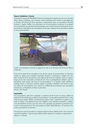 135Implementando el manejo
Nueva Caledonia, Francia
El proyecto reciente del WorldFish Center en la pesquería de pepinos de mar en La Grande
Terre, Nueva Caledonia, usó encuestas socio-económicas para evaluar la necesidad que
el Servicio Provincial de Pesca promueva entrenamiento para los pescadores (Purcell,
Gossuin y Agudo, 2009a). Las entrevistas con los procesadores mostraron la necesidad
de entrenamiento en métodos de procesamiento, por cuanto las dos terceras partes de los
procesadores respondieron que los pepinos de mar que compran de los pescadores estaban
a veces mal procesados.
Arriba: procesamiento artesanal de pepinos de mar en la Provincia del Norte de Nueva
Caledonia.
Cerca de la mitad de los pescadores cerca de los centros de procesamiento en Noumea
venden su captura como animales eviscerados (frescos) o eviscerados y salados. Por otro
lado, la mayoría de los pescadores en las regiones del norte más alejadas venden su captura
luego que los han convertido en beche-de-mer. Esto es principalmente debido a que los
pescadores están mucho más lejos de los procesadores y no pueden vender fácilmente
animales frescos o almacenar animales salados en grandes cantidades. Una lección es que
los talleres de entrenamiento para mejorar la calidad del procesamiento por pescadores
necesitan ir a comunidades remotas en particular.
Fuente: S.W. Purcell.
Seychelles
Los procesadores están bien equipados y producen beche-de-mer de buena calidad de
pepinos de mar salados que compran a los pescadores. Los pescadores prefieren llevar a cabo
viajes de pesca largos, debido a la distancia que deben viajar y mantienen su captura en sal
hasta su regreso. Los pepinos de mar son vendidos, como animales eviscerados y salados,
a los procesadores. En este caso, hay cierto valor agregado que pierden los pescadores por
cuanto el procesamiento lo hace procesadores locales industrializados. Al momento hay
cuatro procesadores con licencia.
Una lección es que los pescadores consiguen suficiente dinero debido al alto valor comercial
actual de la captura y a que los procesadores deben reportar sus compras y exportaciones
Fuente: C. Conand.
Foto:S.W.Purcell
 