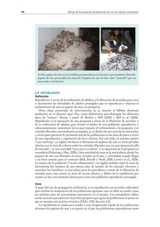 Manejo de las pesquerías de pepino de mar con un enfoque ecosistémico136
6.8 Repoblación
Definición
Repoblación a través de la reubicación de adultos, o la liberación de juveniles para crear
o incrementar las densidades de adultos protegidos que se reproducen y mejoran el
reclutamiento de nuevos pepino de mar a la pesquería.
Otras clases potenciales de intervenciones (p.  ej. mejorar el hábitat, disminuir
predación) no se discuten aquí. Hay varias definiciones para distinguir los diferentes
tipos de “mejora” directa, a partir de Bartley y Bell (2008) y Bell et al. (2008).
Repoblación es la reposición de una pesquería a través de la liberación de juveniles o
de la reubicación de adultos, para formar el núcleo de una población reproductiva y
subsecuentemente suministrar larvas para mejorar el reclutamiento a la pesquería. Los
animales liberados son totalmente protegidos, p. ej. dentro de una zona de no extracción,
y sirven para apresurar la reconstrucción de las poblaciones en las áreas de pesca a través
de una reproducción y exportación de larva efectiva. Por otro lado, el rancheo marino
(“sea ranching”, en inglés) involucra la liberación de pepinos de mar en áreas privadas
abiertas con la meta de colectar todos los animales liberados una vez que alcancen la talla
de mercado – es una actividad “pon-crece-y-colecta” y la reposición de la pesquería es
secundaria (Pickering y Hair, 2008). Otra actividad de éstas es la maricultura, dónde los
pepinos de mar son liberados en áreas cerradas en el mar, y cosechados cuando llegan
a un buen tamaño para el comercio (Bell, Purcell y Nash, 2008; Lavitra et al., 2008).
La mejora de la población (“stock enhancement”, en inglés) también tiene la meta de
incrementar los tamaños de una misma clase de tamaño de los animales silvestres y
aumentar los beneficios a corto plazo para los pescadores a través de la liberación de
animales pero, ésta ocurre en áreas de acceso abierto, y difiere de la repoblación por
cuanto no hay una intención directa para crear una población reproductiva protegida.
Usos
A pesar del uso de propagación artificial (p. ej. la repoblación con juveniles cultivados)
para facilitar la recuperación de las poblaciones agotadas, esto no debe ser usado como
un sustituto para un acercamiento precautorio en el manejo. Los manejadores deben
tomar acciones para prevenir la presión pesquera que agota las poblaciones al punto en
que se necesita esta acción correctiva (FAO, 1995; Sección 3.2).
La repoblación es usada para ayudar a una recuperación rápida de las poblaciones
silvestres de pepinos de mar a un punto en el que las poblaciones reproductivas están
Fotos:C.Conand
Arriba: pepino de mar en sal vendidos por pescadores con licencia a procesadores. Derecha:
pepino de mar procesados (la mayoría el pepino de mar de alto valor “pentard”) por un
procesador con licencia.
 