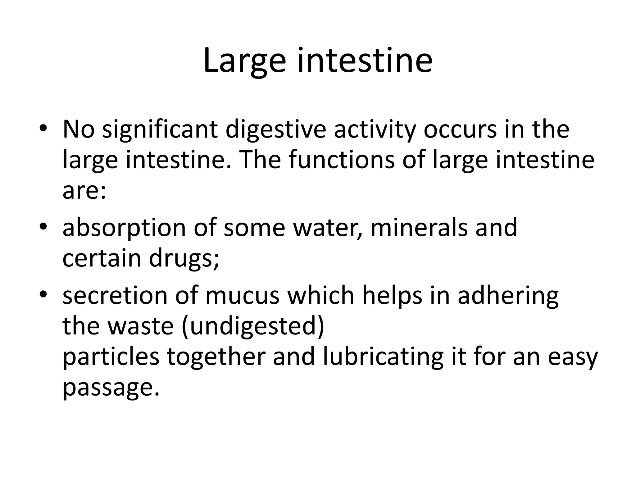 Large intestine
• No significant digestive activity occurs in the
large intestine. The functions of large intestine
are:
• absorption of some water, minerals and
certain drugs;
• secretion of mucus which helps in adhering
the waste (undigested)
particles together and lubricating it for an easy
passage.
 