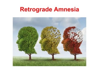 Retrograde Amnesia
 