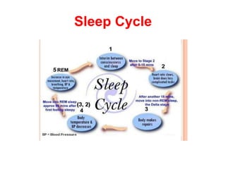 Sleep Cycle
 