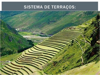 SISTEMA DE TERRAÇOS:
 