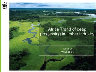 Africa Trend of deep
processing in timber industry
Wang Lei
WWF China
16-Nov-16 / 1
 
