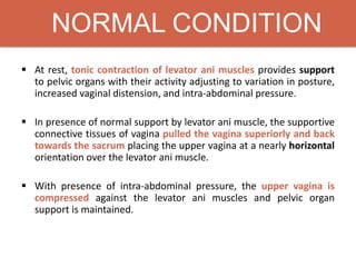 NORMAL CONDITION
 At rest, tonic contraction of levator ani muscles provides support
to pelvic organs with their activity adjusting to variation in posture,
increased vaginal distension, and intra-abdominal pressure.
 In presence of normal support by levator ani muscle, the supportive
connective tissues of vagina pulled the vagina superiorly and back
towards the sacrum placing the upper vagina at a nearly horizontal
orientation over the levator ani muscle.
 With presence of intra-abdominal pressure, the upper vagina is
compressed against the levator ani muscles and pelvic organ
support is maintained.
 