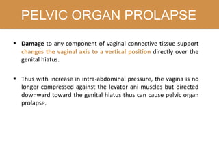 PELVIC ORGAN PROLAPSE
 Damage to any component of vaginal connective tissue support
changes the vaginal axis to a vertical position directly over the
genital hiatus.
 Thus with increase in intra-abdominal pressure, the vagina is no
longer compressed against the levator ani muscles but directed
downward toward the genital hiatus thus can cause pelvic organ
prolapse.
 