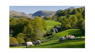 GEOGRAPHY YEAR 10: RURAL ENVIRONMENTS - CHARACTERISTICS OF RURAL AREAS ...