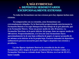 2. MÁS EVIDENCIAS
a. DEPÓSITOS SEDIMENTARIOS
EXCEPCIONALMENTE EXTENSOS
No todas las formaciones son tan extensas pero hay algunas incluso más
extensas.
En comparación con su extensión, estas formaciones son
extremadamente delgadas. En la ilustración proporcionada anteriormente la
Formación Dakota es la capa blanquecina fina debajo de la gris plateada, que
es la Formación Mowry. Tiene un grosor medio de sólo 30 metros. La
Formación Morrison, en la parte inferior del grupo, tiene un espesor medio de
100 metros. Proporcionalmente, si el área de estas formaciones fuera
aproximadamente la de una hoja ordinaria de papel, el espesor promedio de
las mismas sería inferior al de la propia hoja. Factores inusuales de deposición
sedimentaria parecen necesarios para dar lugar a depósitos tan extensos y
peculiares.
Las dos figuras siguientes ilustran la extensión de dos de estas
formaciones sobre mapas de la parte occidental de los Estados Unidos. La
Formación Morrison se extiende desde Nuevo México, en el sur de EE.UU.,
hasta Canadá.
 