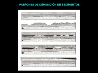 PATRONES DE DEPOSICIÓN DE SEDIMENTOS
 