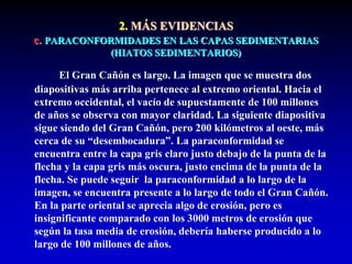 2. MÁS EVIDENCIAS
c. PARACONFORMIDADES EN LAS CAPAS SEDIMENTARIAS
(HIATOS SEDIMENTARIOS)
El Gran Cañón es largo. La imagen que se muestra dos
diapositivas más arriba pertenece al extremo oriental. Hacia el
extremo occidental, el vacío de supuestamente de 100 millones
de años se observa con mayor claridad. La siguiente diapositiva
sigue siendo del Gran Cañón, pero 200 kilómetros al oeste, más
cerca de su “desembocadura”. La paraconformidad se
encuentra entre la capa gris claro justo debajo de la punta de la
flecha y la capa gris más oscura, justo encima de la punta de la
flecha. Se puede seguir la paraconformidad a lo largo de la
imagen, se encuentra presente a lo largo de todo el Gran Cañón.
En la parte oriental se aprecia algo de erosión, pero es
insignificante comparado con los 3000 metros de erosión que
según la tasa media de erosión, debería haberse producido a lo
largo de 100 millones de años.
 