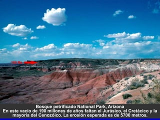 Bosque petrificado National Park, Arizona
En este vacío de 190 millones de años faltan el Jurásico, el Cretácico y la
mayoría del Cenozóico. La erosión esperada es de 5700 metros.
 