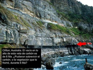 Clifton, Australia. El vacío en lo
alto de esta veta de carbón es
de 6 Ma. ¿Pudieron sobrevivir el
carbón, o la vegetación que lo
fromó, durante 6 Ma?
 
