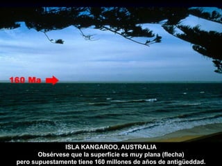 ISLA KANGAROO, AUSTRALIA
Obsérvese que la superficie es muy plana (flecha)
pero supuestamente tiene 160 millones de años de antigüeddad.
 